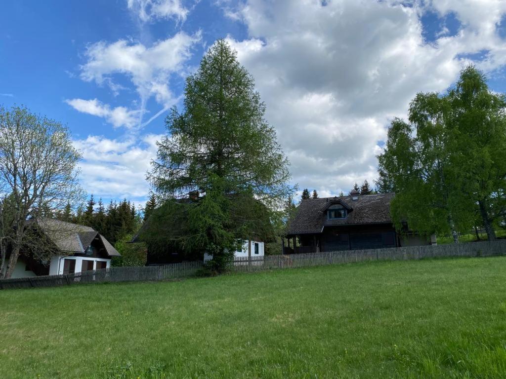 Ferienhaus Waldtraum Sankt Veit an der Glan Exterior photo